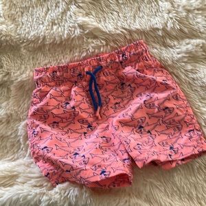 Boys cat & jack toddler swim trunks size 2T